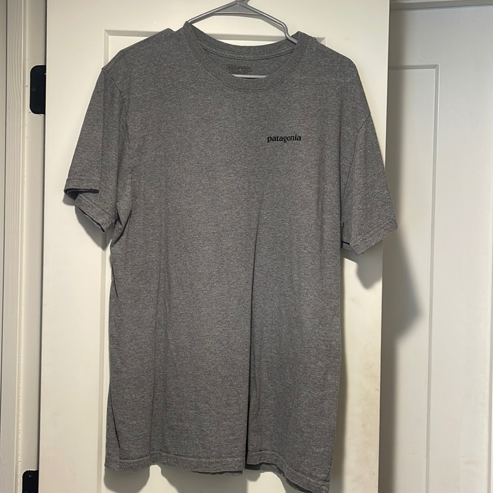 Patagonia T-shirt